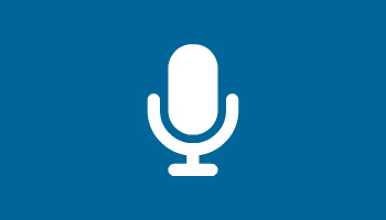 Voice chat system